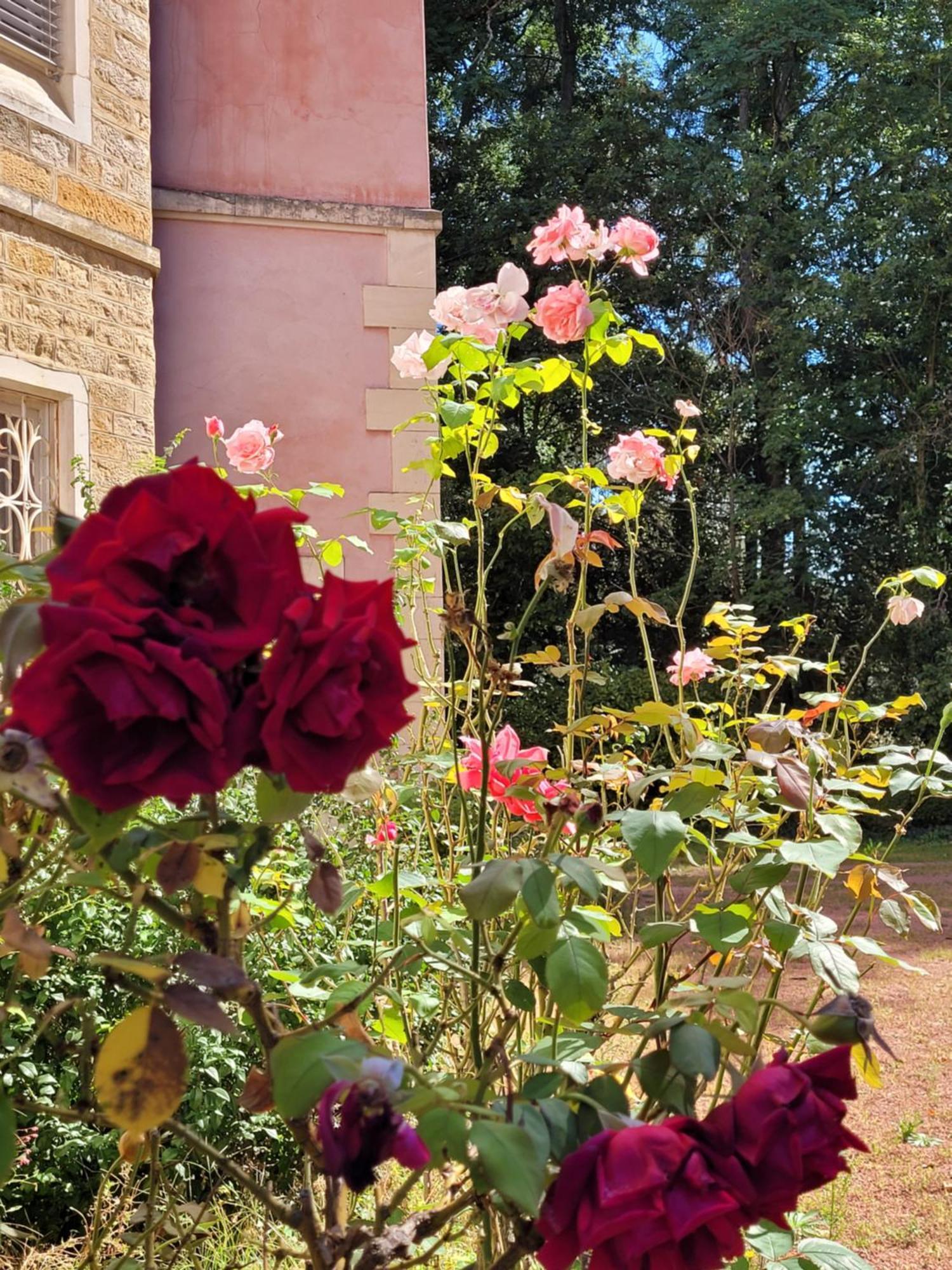 L'Ancre Vive Bed & Breakfast Charentay Exterior photo